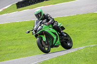 Lower Group Green Bikes